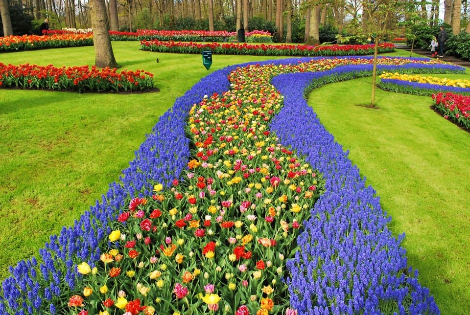 keukenhof kierros amsterdam ()